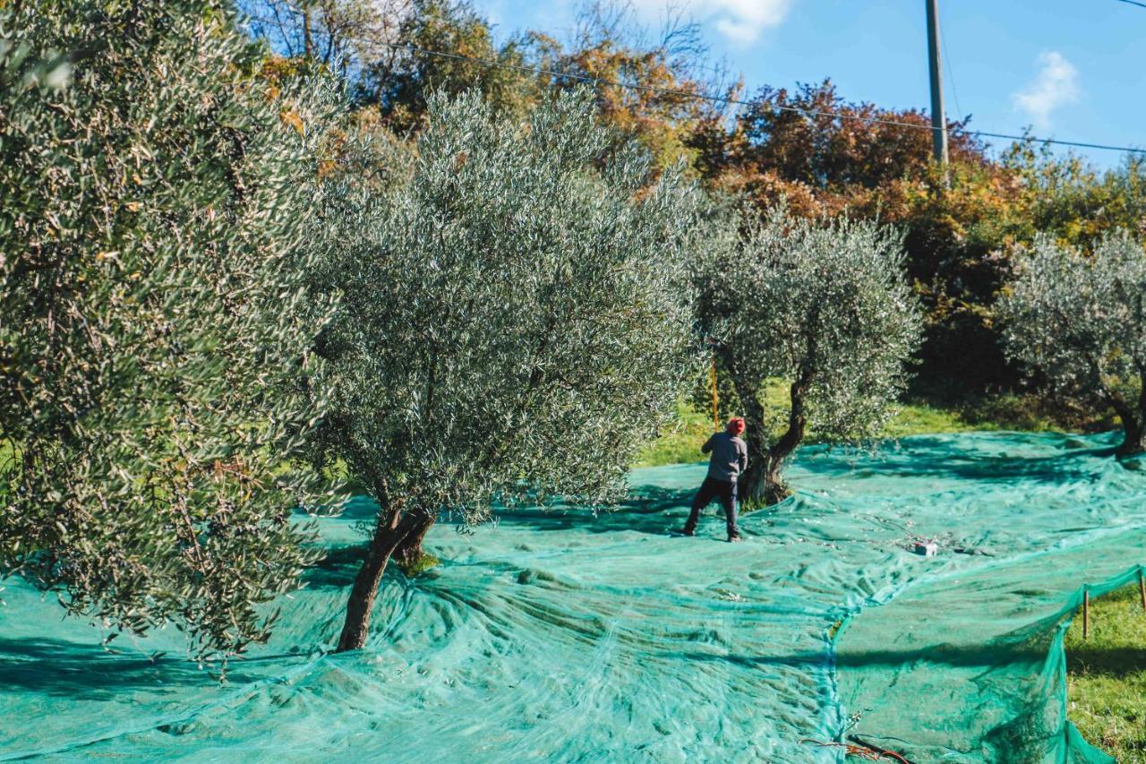 Villa Giorgia Albergo In Collina Pistoia Eksteriør billede