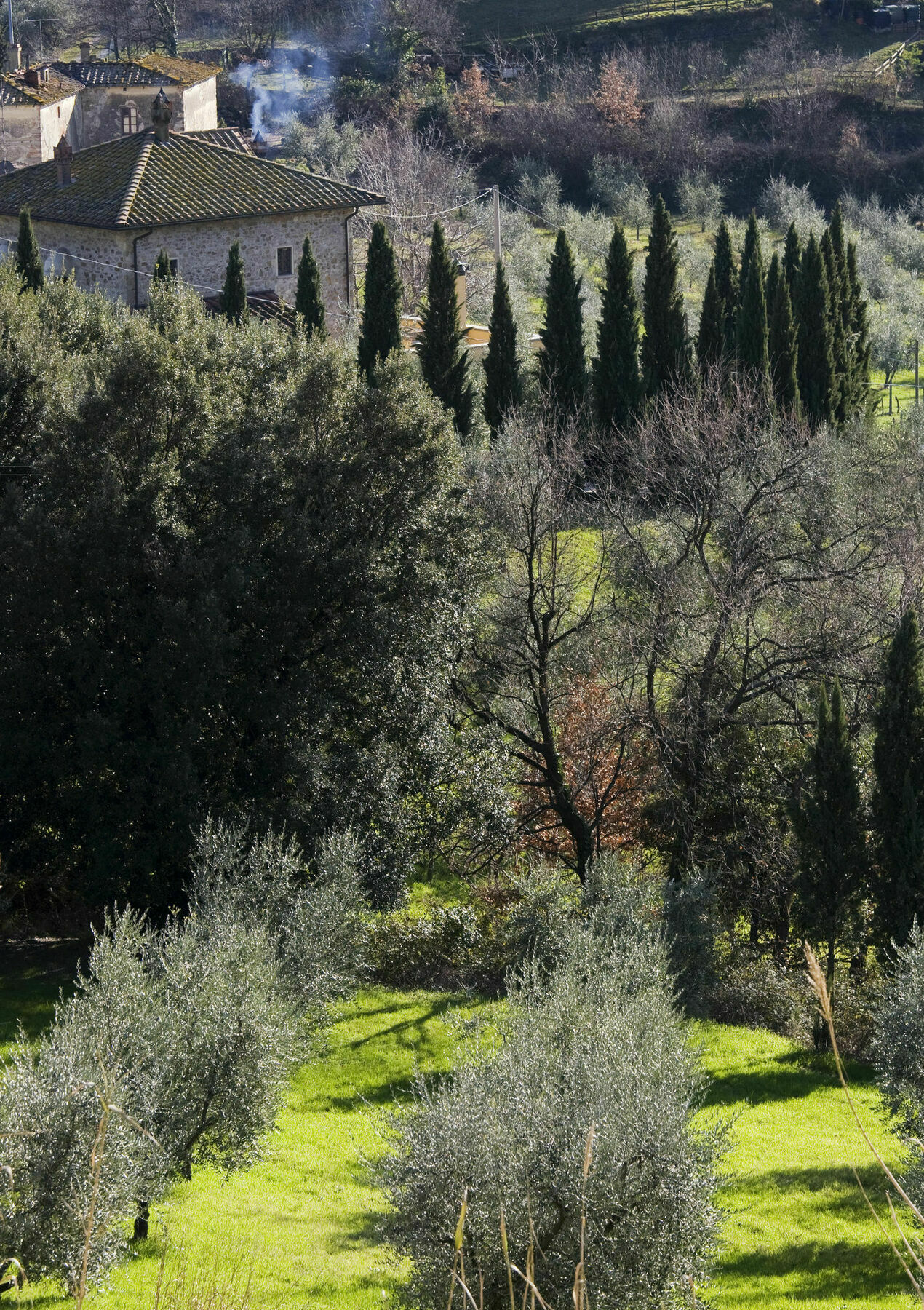 Villa Giorgia Albergo In Collina Pistoia Eksteriør billede